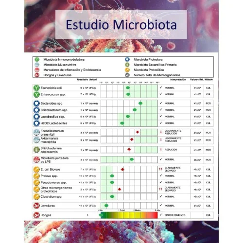 estudio microbiota intestinal
